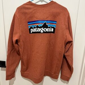 Like new Patagonia crew neck